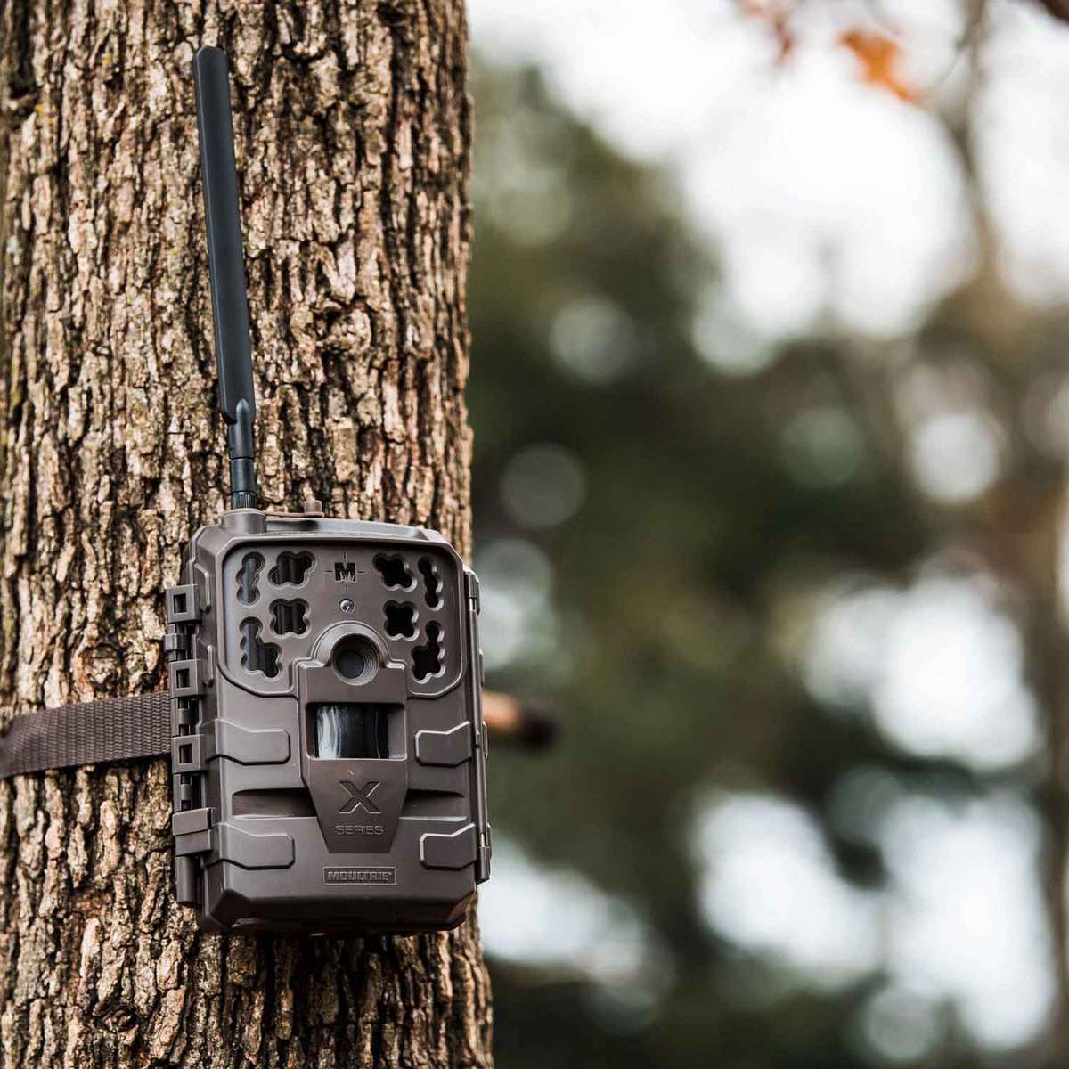 Moultrie Delta Cellular Trail Camera Verizon Sportsman's Warehouse
