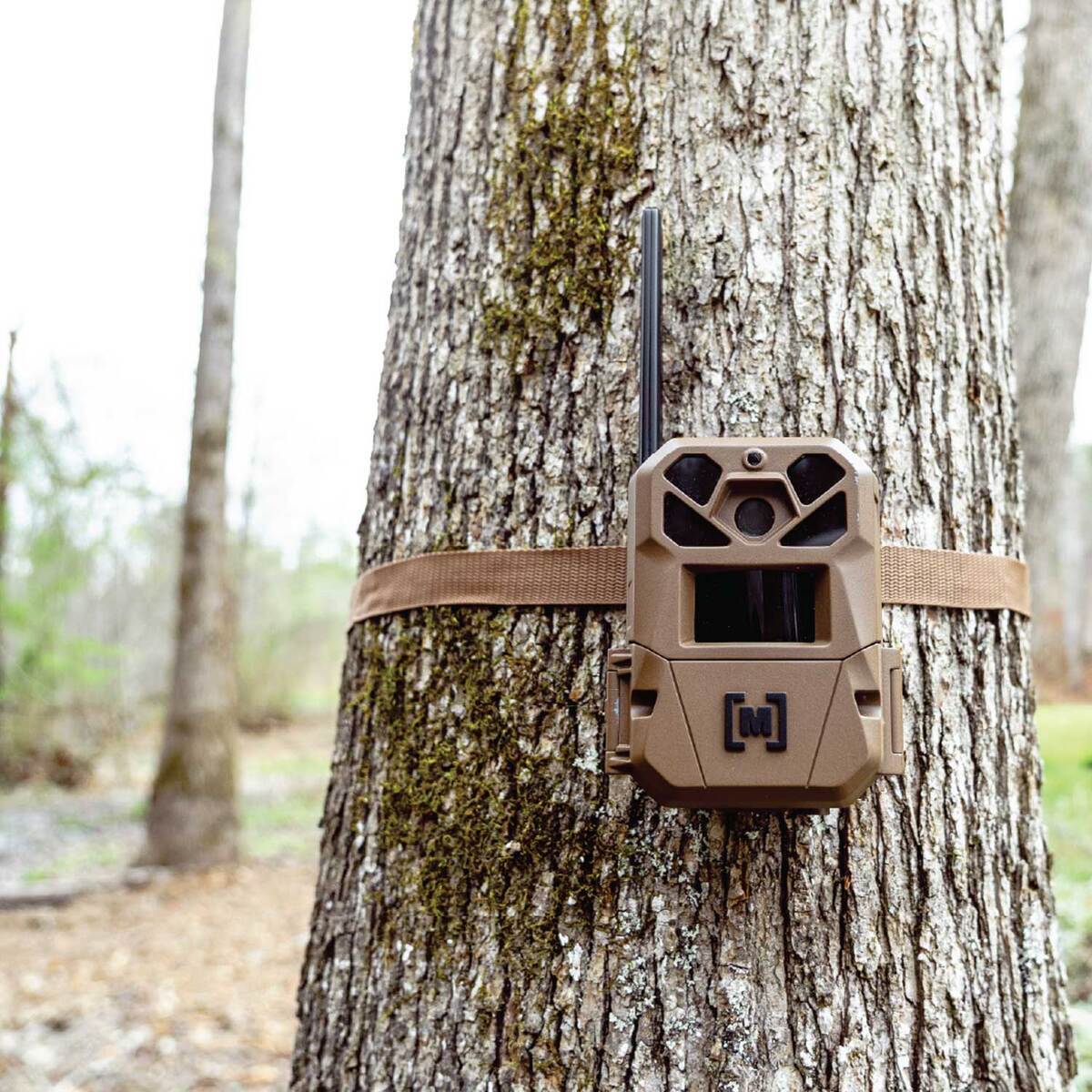 Moultrie EDGE 3 Cellular Trail Camera - 2 Pack | Sportsman's Warehouse