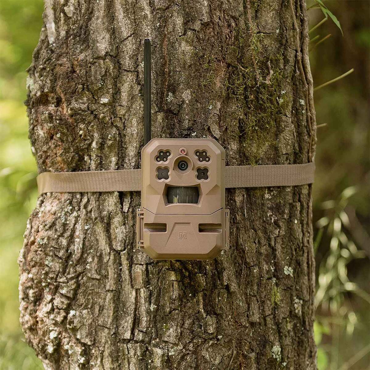 Moultrie Mobile Edge Cellular Trail Camera Sportsman's Warehouse
