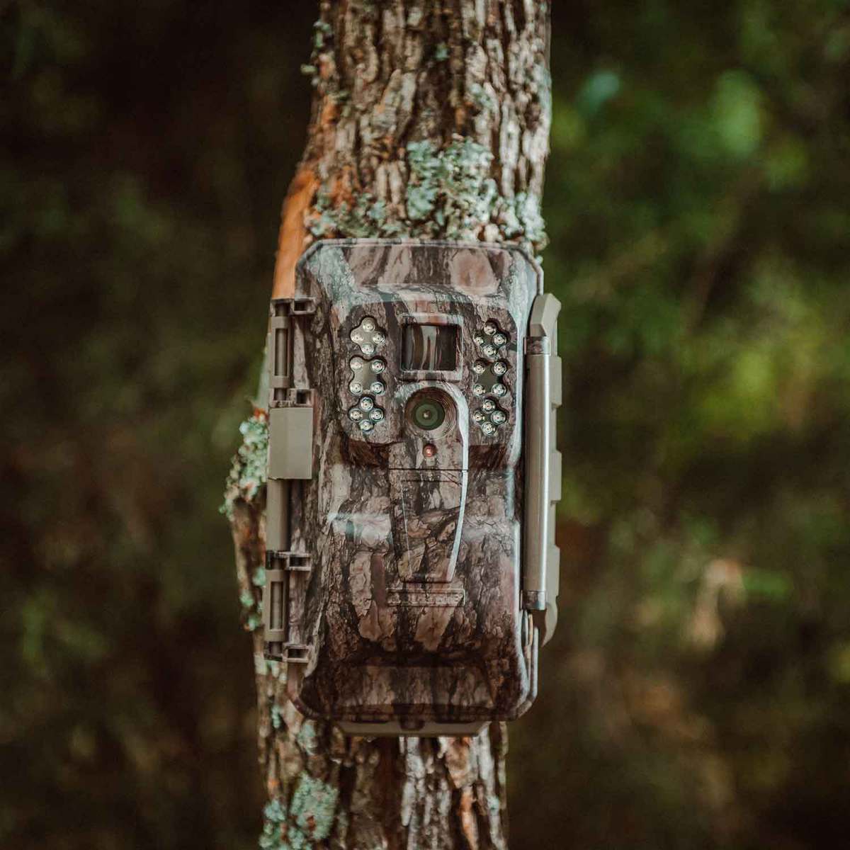 Moultrie XV-6000 Verizon Wireless Trail Camera - Moultrie Pine Bark camo 8in (L) x 5in (W) x 3.5in (D) Moultrie XV-6000 Verizon Wireless Trail Camera - Moultrie Pine Bark camo 8in (L) x 5in (W) x 3.5in (D)
