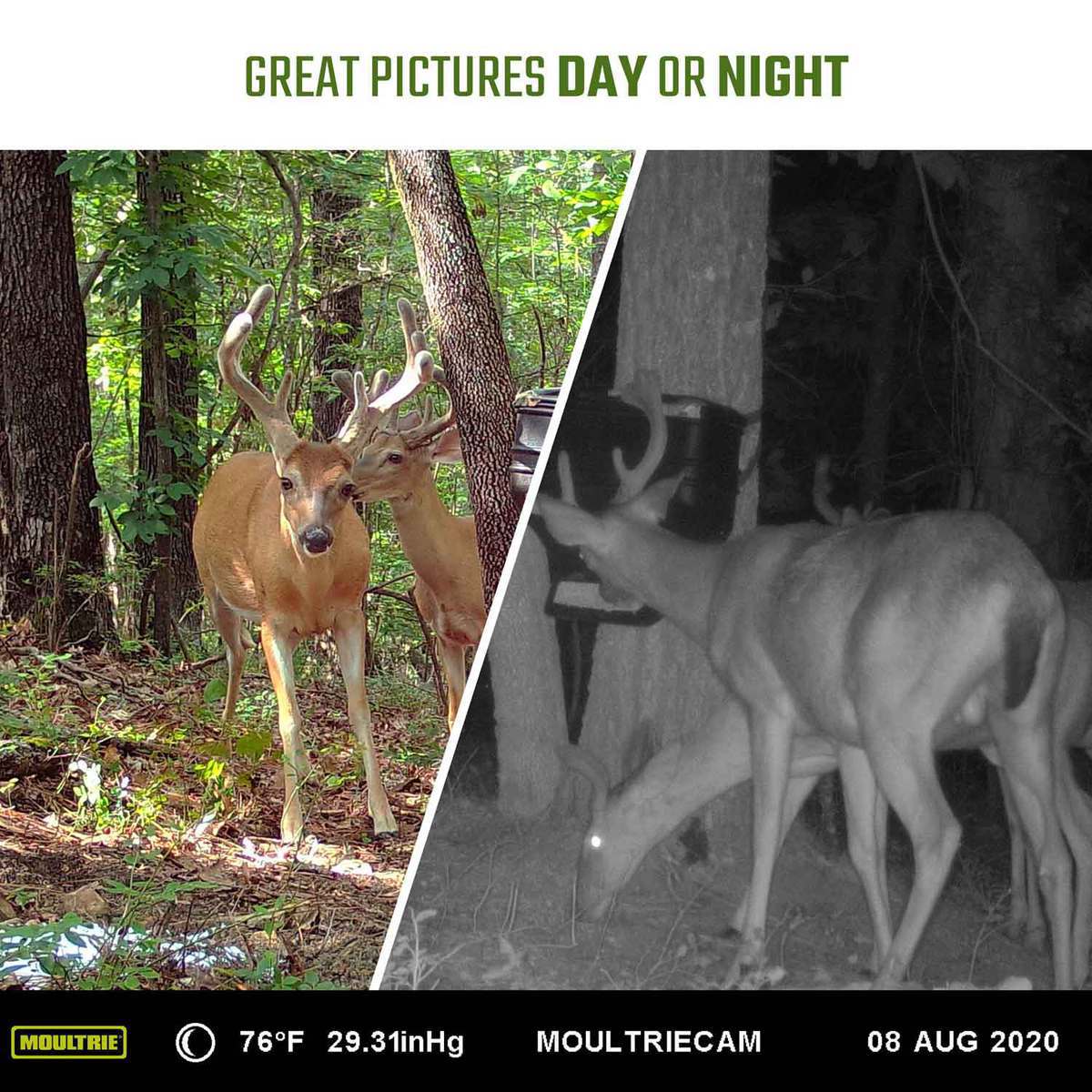 Moultrie XV-6000 Verizon Wireless Trail Camera - Moultrie Pine Bark camo 8in (L) x 5in (W) x 3.5in (D) Moultrie XV-6000 Verizon Wireless Trail Camera - Moultrie Pine Bark camo 8in (L) x 5in (W) x 3.5in (D)