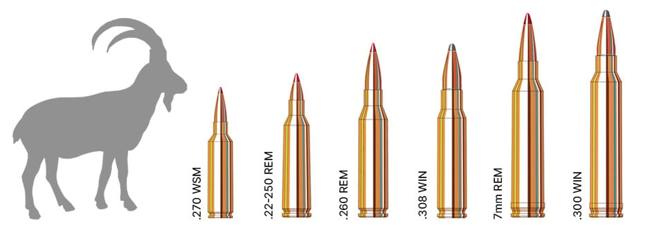 Mountain Goats Hunting Calibers
