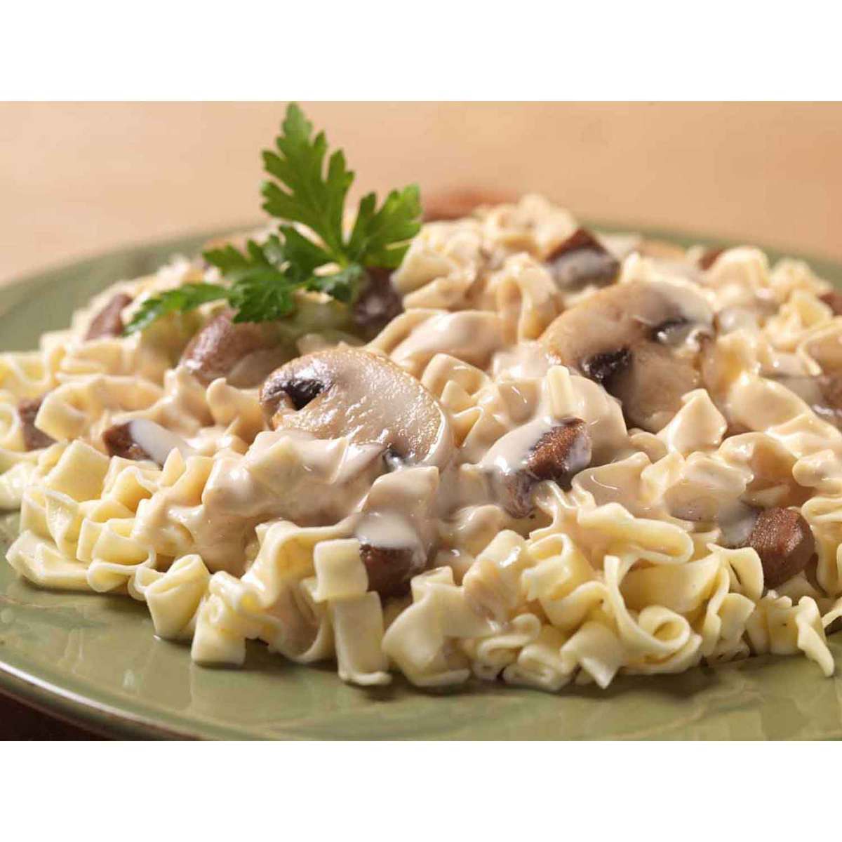 Mountain House Beef Stroganoff - 10 Servings Mountain House Beef Stroganoff - 10 Servings