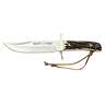 Muela Stag Horn 8.25 inch Fixed Blade Knife - Stainless Steel