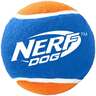 Nerf Dog 4-Pack 2.5in Squeak Tennis Balls - Blue