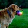 Nite Ize Glowstreak Wild LED Ball - Disc-o - Disc-o