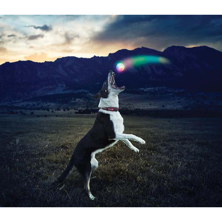 Nite Ize GlowStreak LED Dog Ball Nite Ize GlowStreak LED Dog Ball