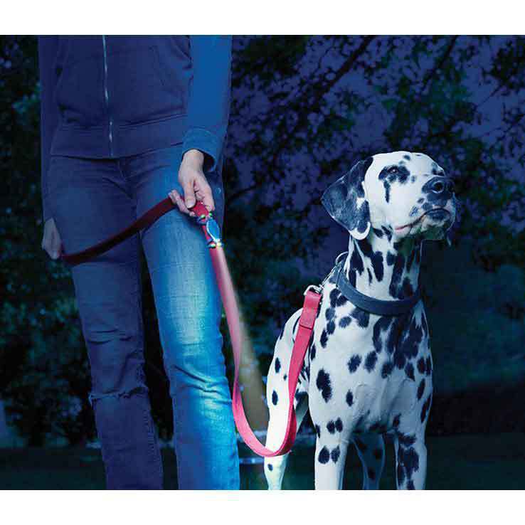 Nite Ize LeashLit LED Micro Specialty Flashlight - Blue Nite Ize LeashLit LED Micro Specialty Flashlight - Blue