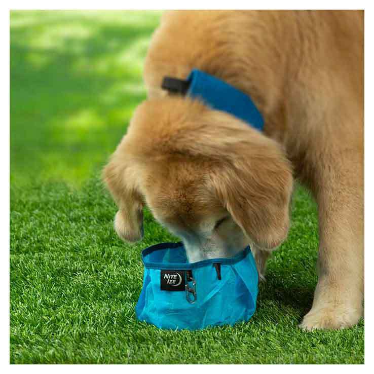 Nite Ize Raddog Collapsible Bowl - Blue - Blue 1.6in x 2.4in x 0.5in Nite Ize Raddog Collapsible Bowl - Blue - Blue 1.6in x 2.4in x 0.5in