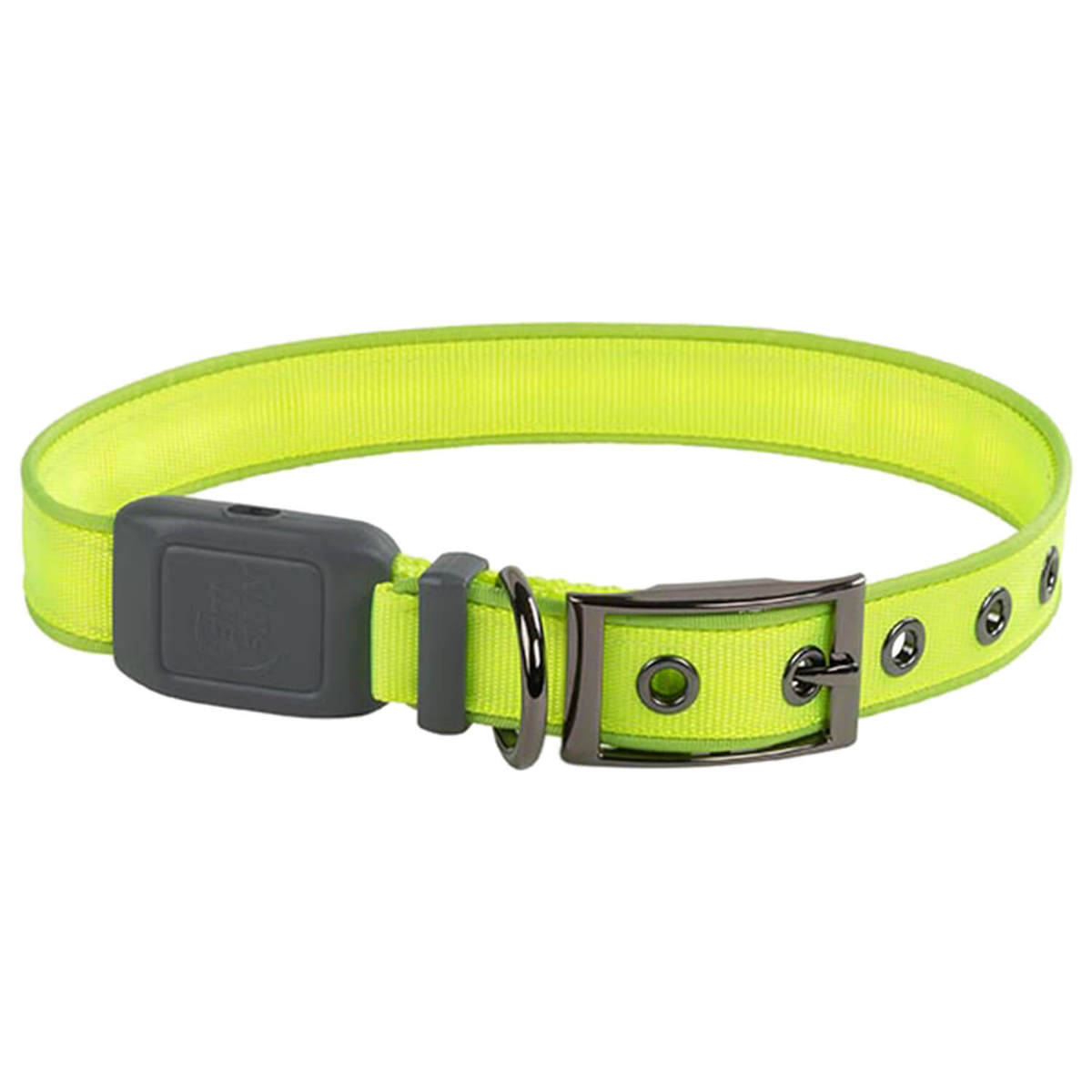 NiteDog Rechargeable XL Dog Collar NiteDog Rechargeable XL Dog Collar