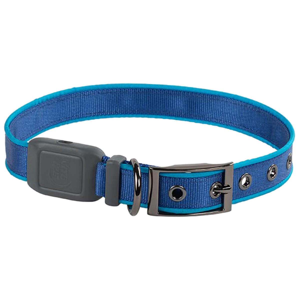 NiteDog Rechargeable XL Dog Collar NiteDog Rechargeable XL Dog Collar