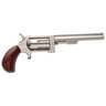 North American Arms Sidewinder 22 WMR (Magnum) 4in Stainless Revolver - 5 Rounds