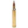 Nosler E-Tip Lead-Free 300 Winchester Magnum 180gr E-Tip Rifle Ammo - 20 Rounds