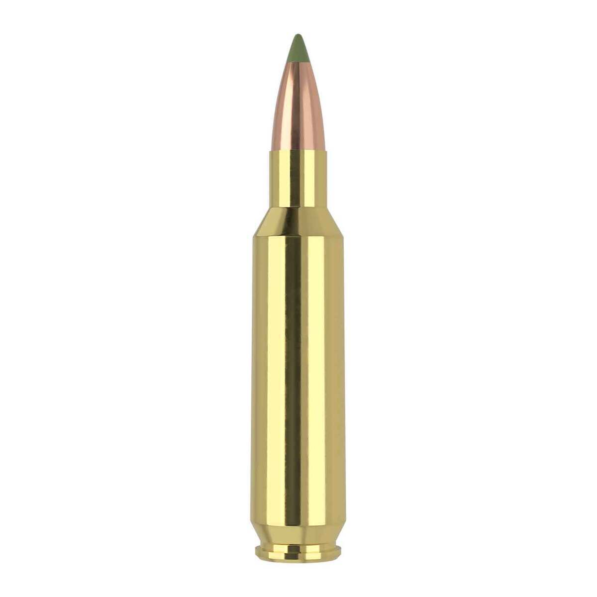 Nosler Expansion Tip 22 Nosler 55gr TPFMJ Rifle Ammo - 20 Rounds Nosler Expansion Tip 22 Nosler 55gr TPFMJ Rifle Ammo - 20 Rounds