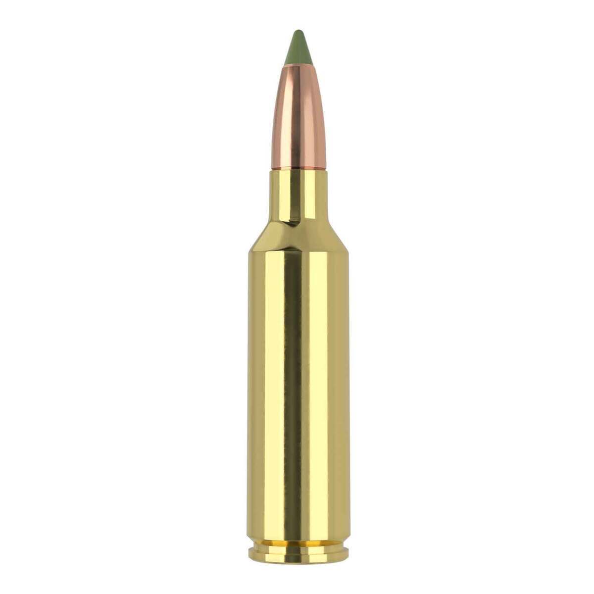 Nosler Expansion Tip 270 WSM (Winchester Short Mag) 130gr TPFMJ Rifle Ammo - 20 Rounds Nosler Expansion Tip 270 WSM (Winchester Short Mag) 130gr TPFMJ Rifle Ammo - 20 Rounds