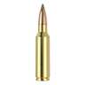 Nosler Expansion Tip 300 WSM (Winchester Short Mag) 180gr TPFMJ Rifle Ammo - 20 Rounds