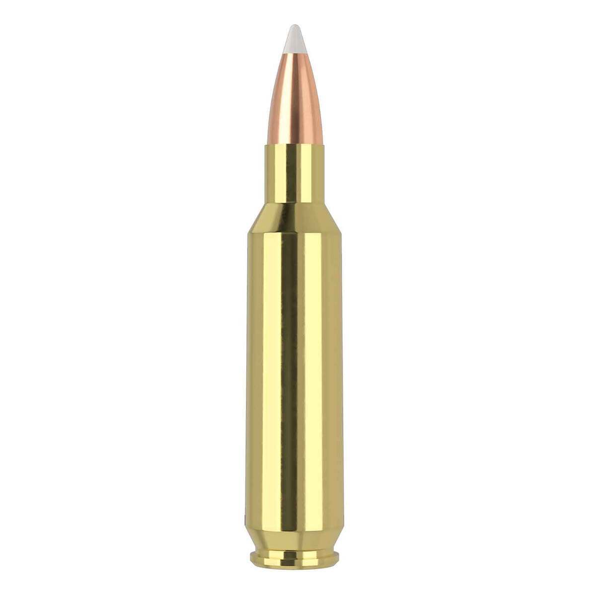 Nosler Trophy Grade 22 Nosler 70gr FMJSP Rifle Ammo - 20 Rounds Nosler Trophy Grade 22 Nosler 70gr FMJSP Rifle Ammo - 20 Rounds