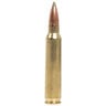 Nosler Trophy Grade 223 Remington 55gr E-Tip Rifle Ammo - 20 Rounds
