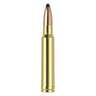 Nosler Trophy Grade 338 Winchester Magnum 250gr Partition Rifle Ammo - 20 Rounds