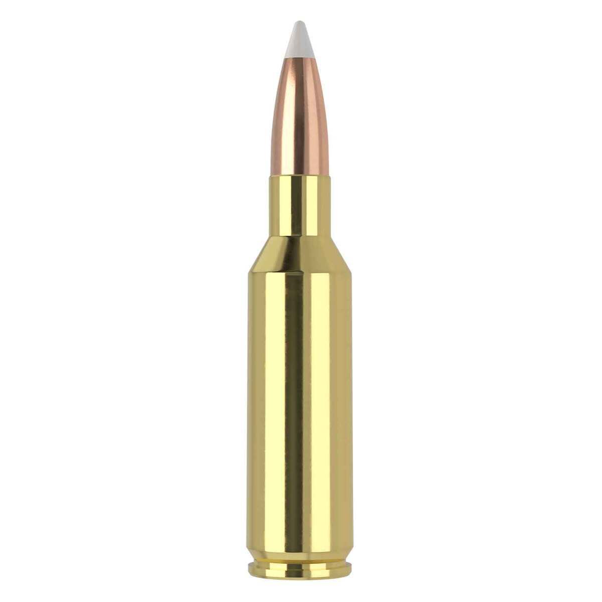 Nosler Trophy Grade 7mm SAUM (Remington SA Ultra Mag) 160gr FMJSP Rifle Ammo - 20 Rounds Nosler Trophy Grade 7mm SAUM (Remington SA Ultra Mag) 160gr FMJSP Rifle Ammo - 20 Rounds