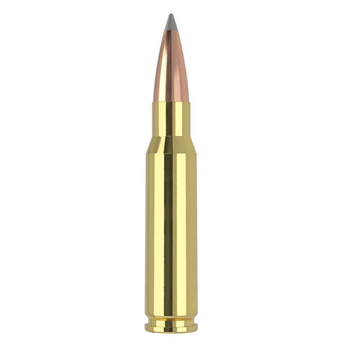 Nosler Trophy Grade Long Range 308 Winchester 168gr Accubond Rifle Ammo - 20 Rounds Nosler Trophy Grade Long Range 308 Winchester 168gr Accubond Rifle Ammo - 20 Rounds