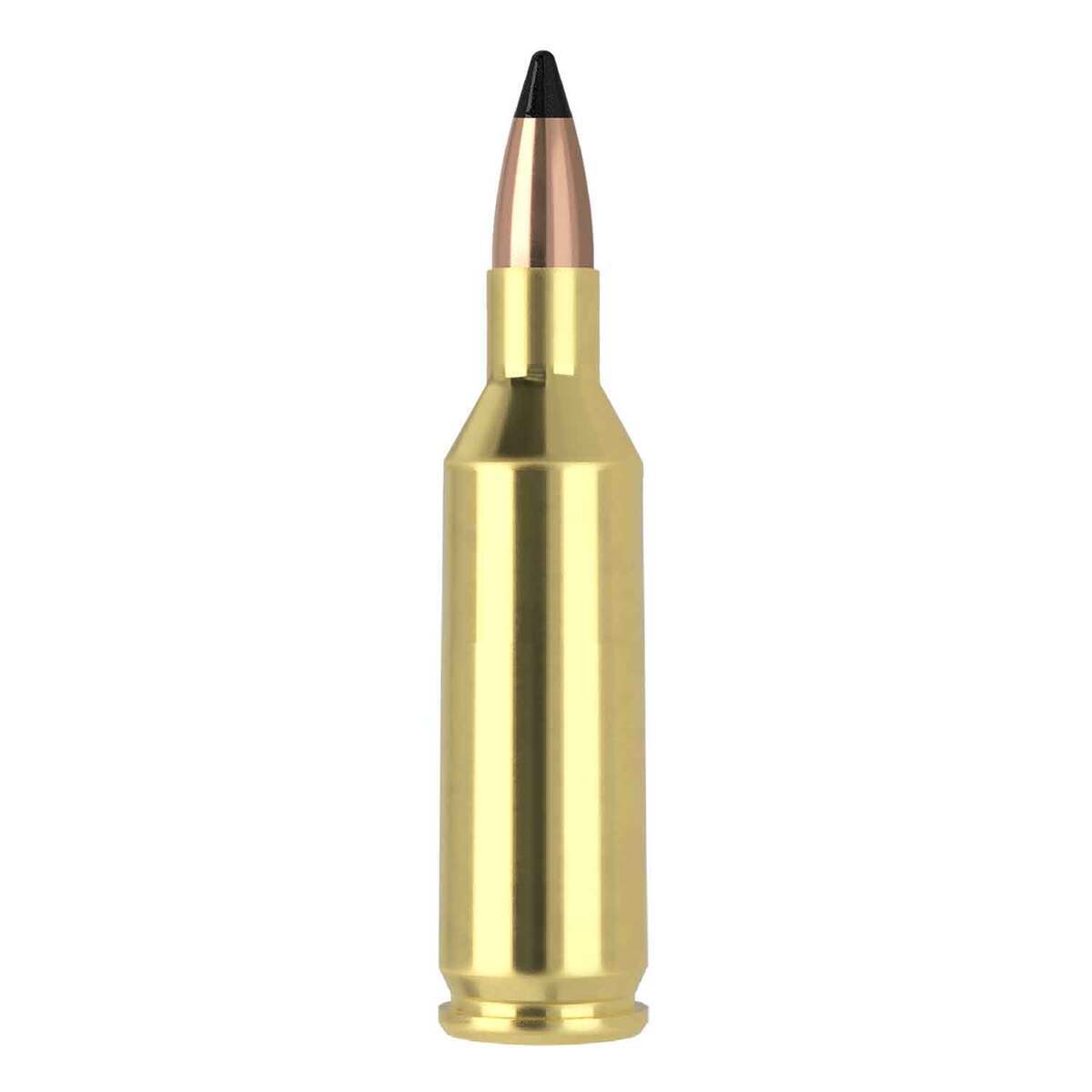 Nosler Varmageddon 17 Remington Fireball 20gr FB Tipped Rifle Ammo - 20 Rounds Nosler Varmageddon 17 Remington Fireball 20gr FB Tipped Rifle Ammo - 20 Rounds