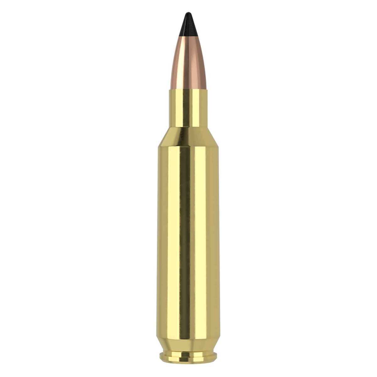 Nosler Varmageddon 22 Nosler 53gr FB Tipped Rifle Ammo - 20 Rounds Nosler Varmageddon 22 Nosler 53gr FB Tipped Rifle Ammo - 20 Rounds