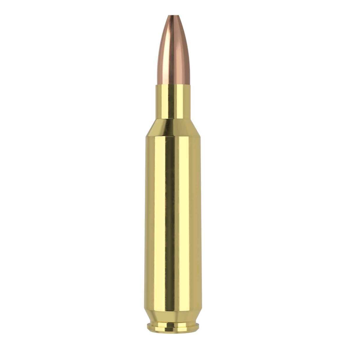 Nosler Varmageddon 22 Nosler 62gr FBHP Rifle Ammo - 50 Rounds Nosler Varmageddon 22 Nosler 62gr FBHP Rifle Ammo - 50 Rounds