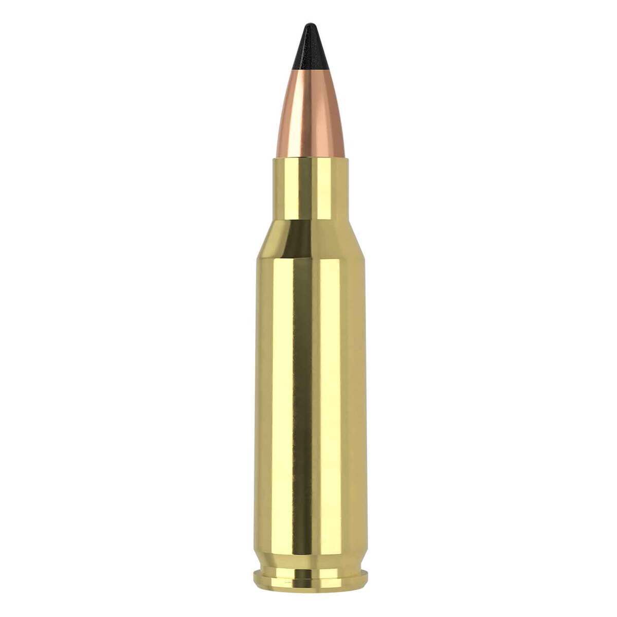 Nosler Varmageddon 221 Remington Fireball 40gr FB Tipped Rifle Ammo - 20 Rounds Nosler Varmageddon 221 Remington Fireball 40gr FB Tipped Rifle Ammo - 20 Rounds
