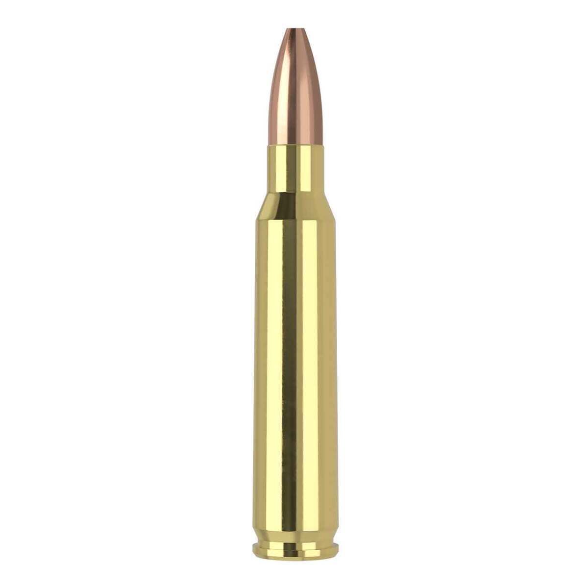 Nosler Varmageddon 223 Remington 62gr FBHP Varmageddon Rifle Ammo - 20 Rounds Nosler Varmageddon 223 Remington 62gr FBHP Varmageddon Rifle Ammo - 20 Rounds