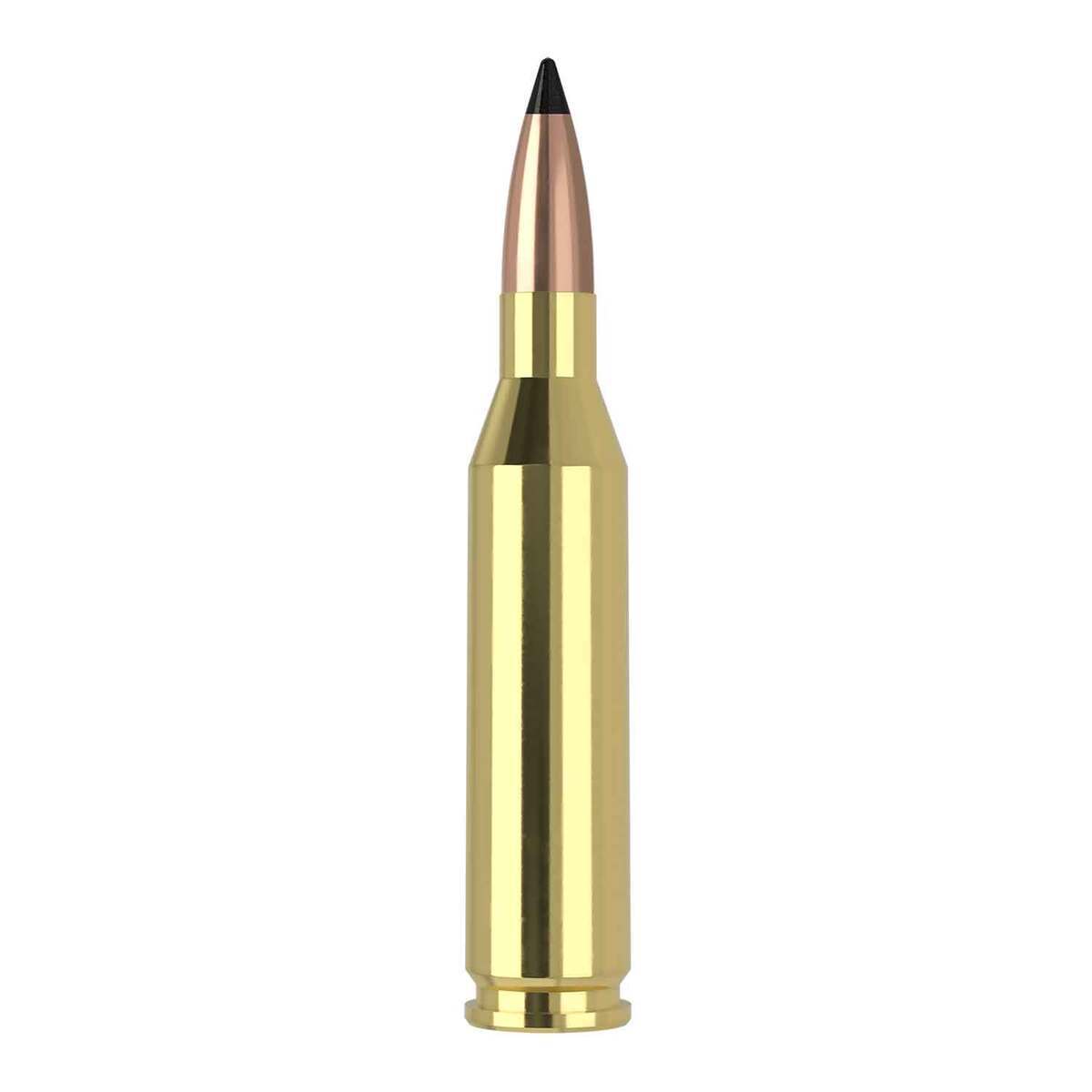 Nosler Varmageddon 243 Winchester 55gr FB Tipped Rifle Ammo - 20 Rounds Nosler Varmageddon 243 Winchester 55gr FB Tipped Rifle Ammo - 20 Rounds