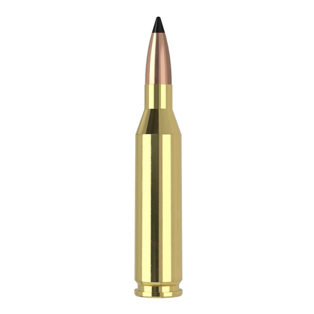 Nosler Varmageddon 243 Winchester 70gr FB Tipped Rifle Ammo - 20 Rounds Nosler Varmageddon 243 Winchester 70gr FB Tipped Rifle Ammo - 20 Rounds