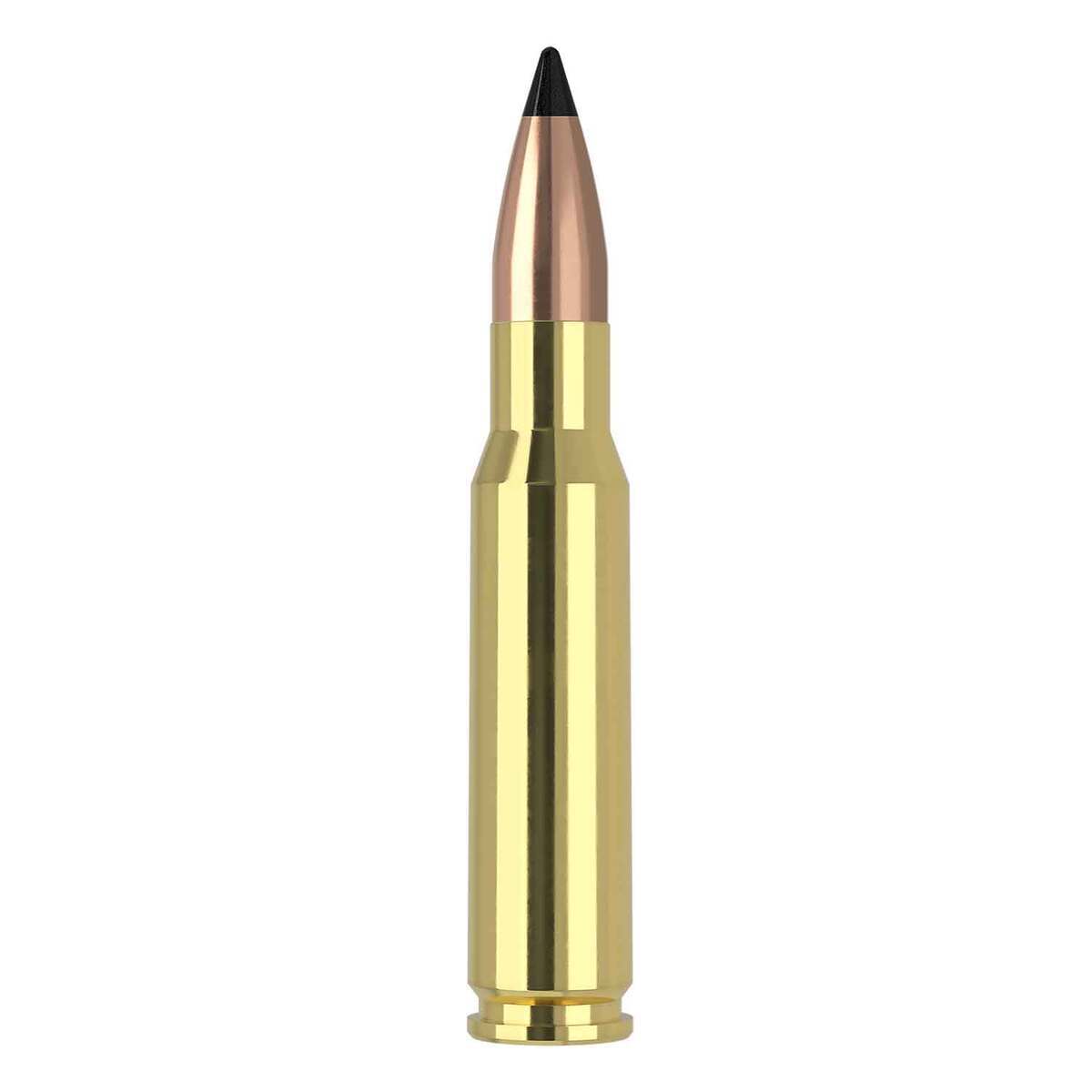 Nosler Varmageddon 308 Winchester 110gr FB Tipped Rifle Ammo - 20 Rounds Nosler Varmageddon 308 Winchester 110gr FB Tipped Rifle Ammo - 20 Rounds