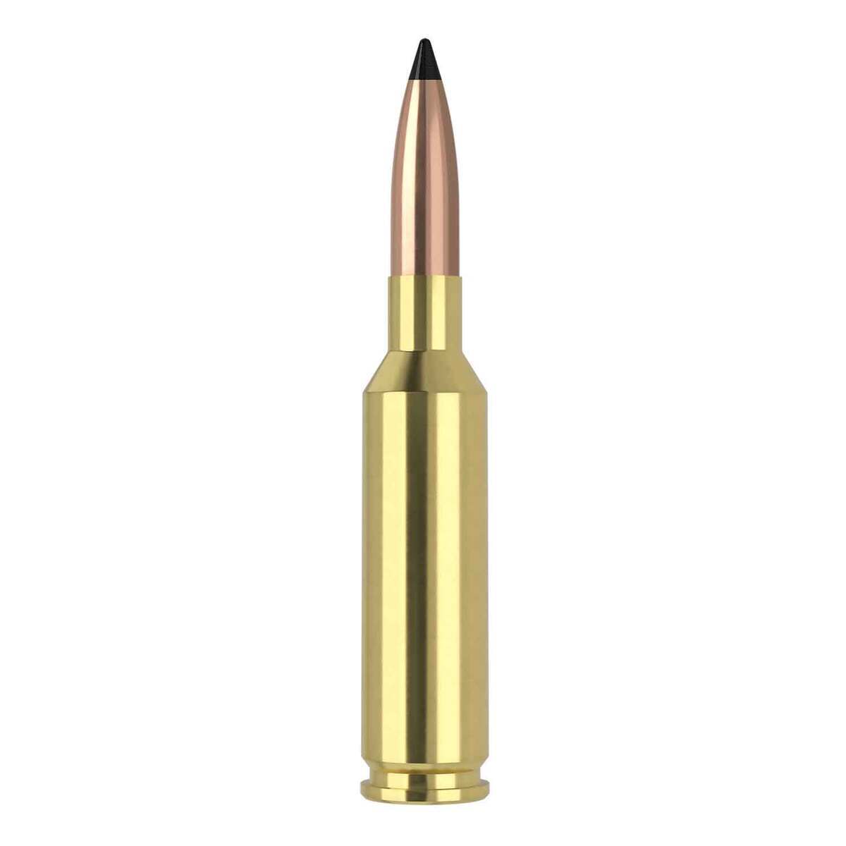 Nosler Varmageddon 6mm Creedmoor 70gr FB Tipped Rifle Ammo - 20 Rounds Nosler Varmageddon 6mm Creedmoor 70gr FB Tipped Rifle Ammo - 20 Rounds