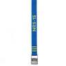 NRS 1 inch HD Tie-Down Strap Set - 15ft - Blue