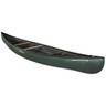 Old Town Canoe Discovery 169 - 16 ft Green - Green