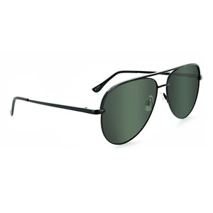 ONE Flatscreen Polarized Sunglasses - Satin Black/Smoke