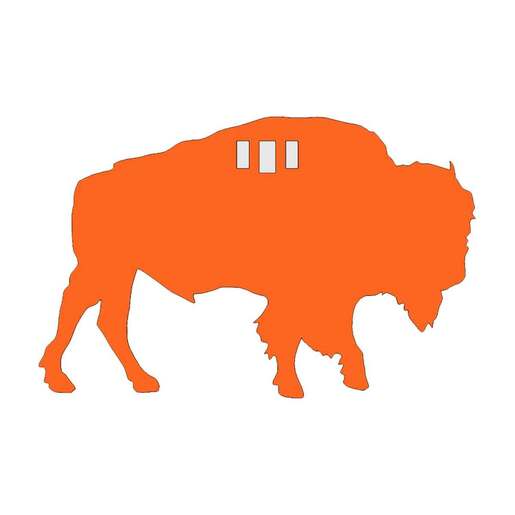 Origin Tactical Bison Silhouette Steel Target - Orange