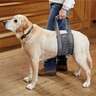 Orvis Gray Rear Dog Lift - Large - Gray Large