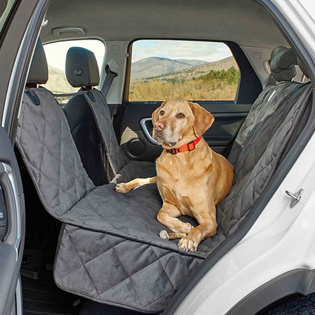 Orvis Grip-Tight Windowed Dog Hammock Gray Seat Protector - Sedan/SUV Large - Gray 66in x 51in Orvis Grip-Tight Windowed Dog Hammock Gray Seat Protector - Sedan/SUV Large - Gray 66in x 51in