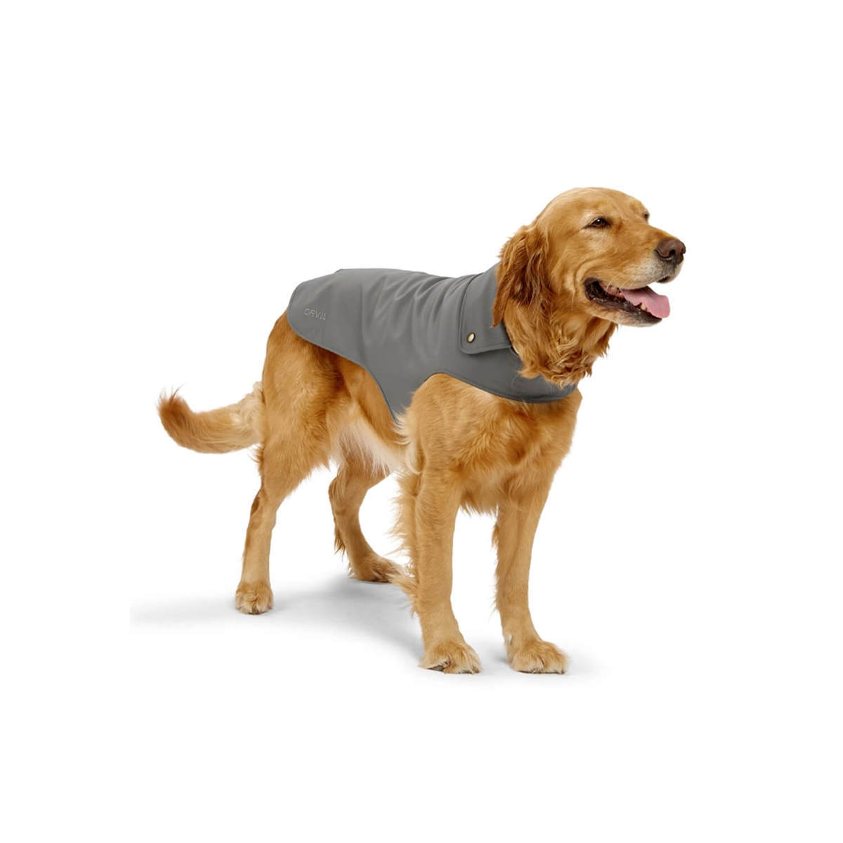 Orvis Softshell Dog Jacket - Medium - Slate - Slate Medium Orvis Softshell Dog Jacket - Medium - Slate - Slate Medium