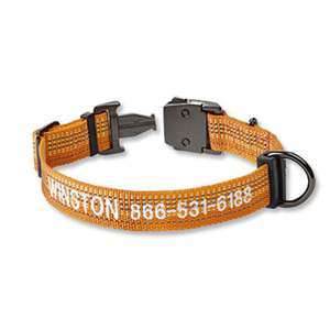 Orvis Tough Trail Orange Dog Collar - Medium