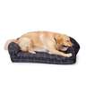 Orvis ToughChew Memory Foam Bolster Nylon Dog Bed - Medium