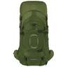 Osprey Aether 65 Backpacking Pack