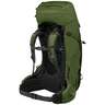 Osprey Aether 65 Backpacking Pack