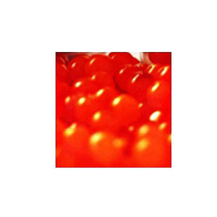 Pautzke Bait Orange Deluxe Salmon Eggs - Orange Pautzke Bait Orange Deluxe Salmon Eggs - Orange