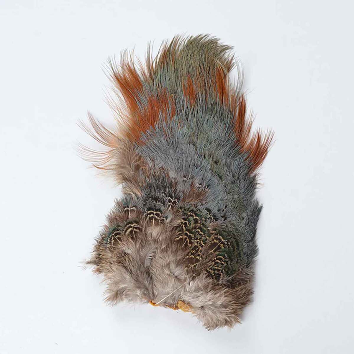 Pefrect Hatch Ringneck Pheasant Rump Patch - Natural - Natural Pefrect Hatch Ringneck Pheasant Rump Patch - Natural - Natural