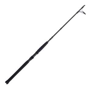 PENN Battalion II Inshore Saltwater Casting Rod - 7ft, Heavy Power, Fast Action, 1pc