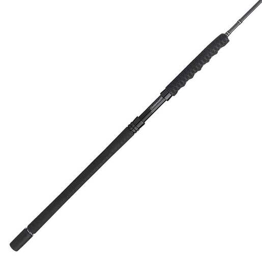 PENN Carnage III Jig Saltwater Spinning Rod