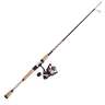 PENN Passion II Spinning Rod and Reel Combo